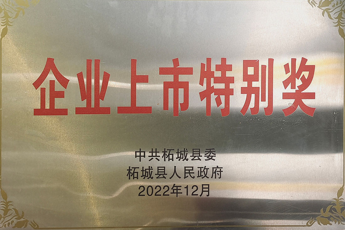 企業(yè)上市特別獎(jiǎng)